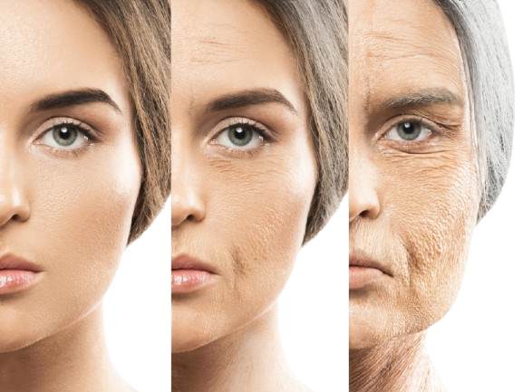 Lisar Anti Aging Serum