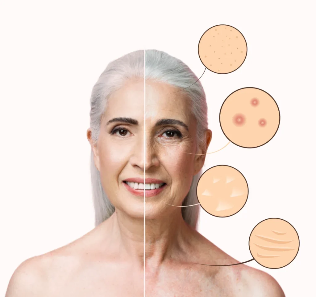 Lisar Anti Aging Serum